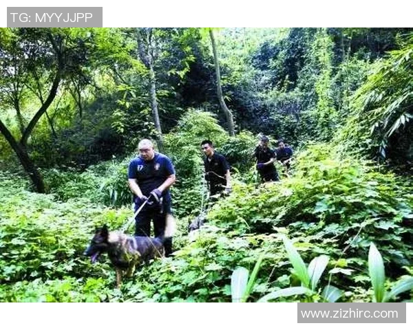 重庆排球队个人能力深度分析与发展潜力探讨